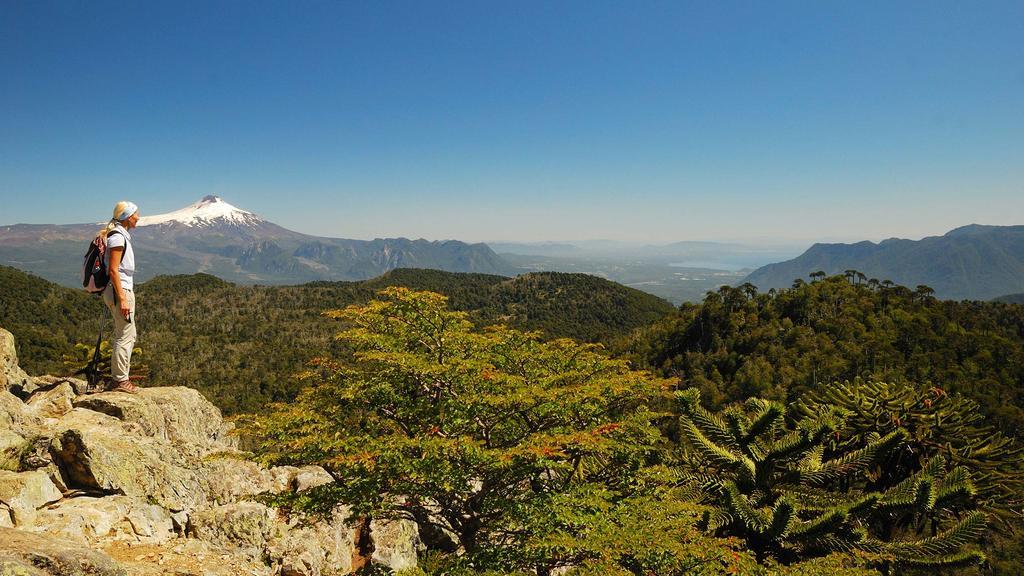 Casa De Campo Buenavista Pucón Værelse billede