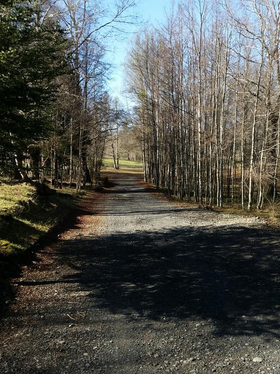 Casa De Campo Buenavista Pucón Værelse billede