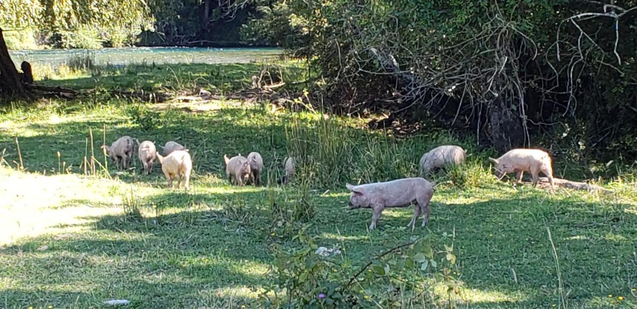Casa De Campo Buenavista Pucón Eksteriør billede